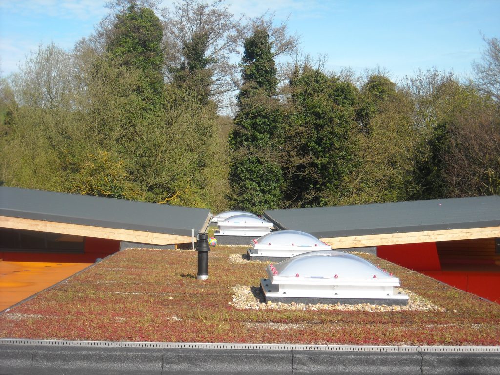 Green Roofs