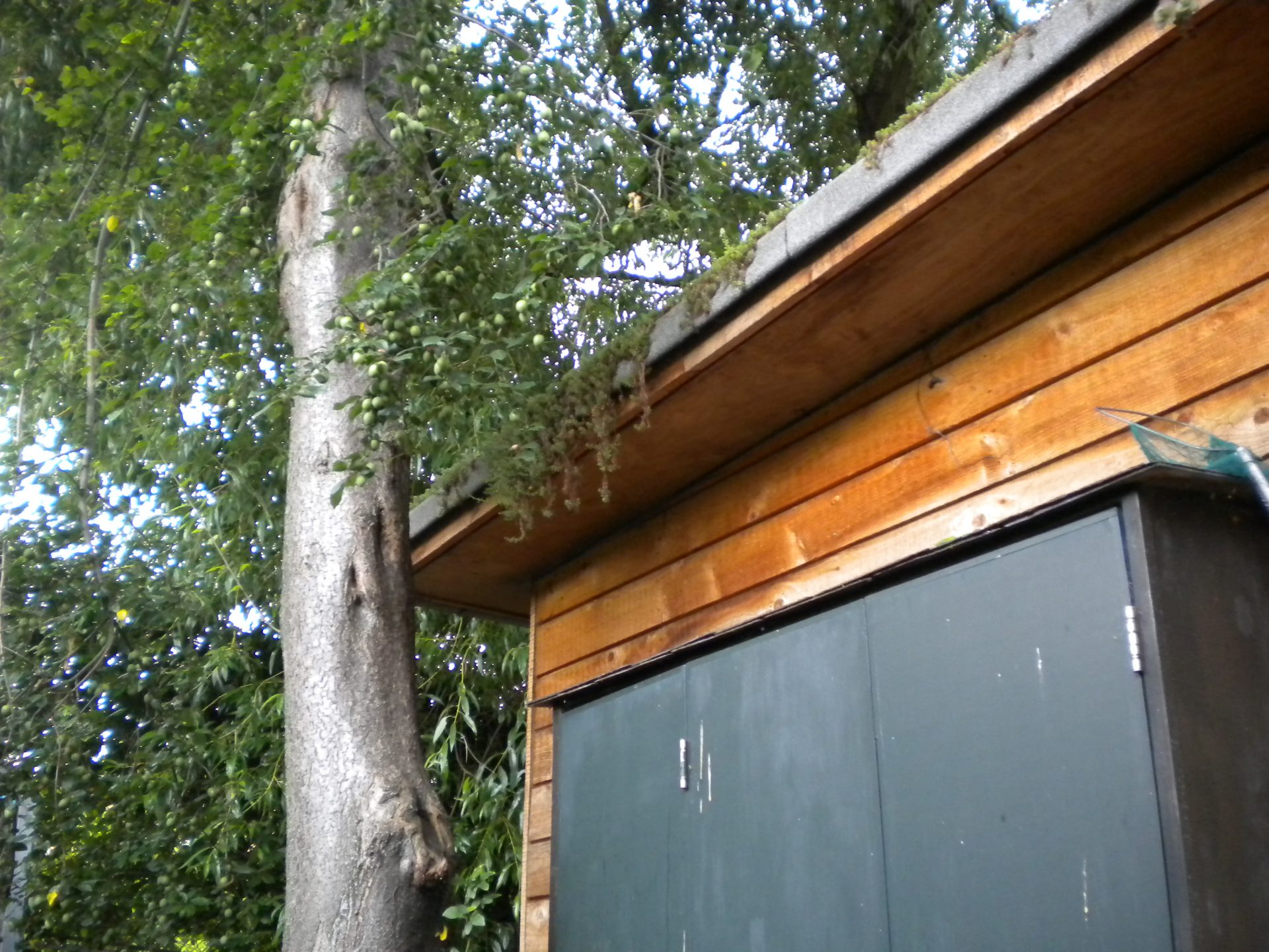 image showing a prefabricated shed