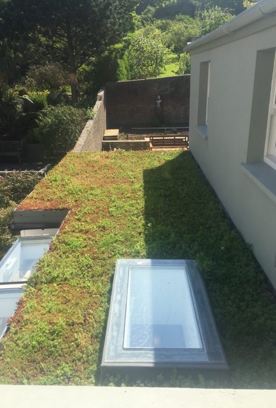 roof