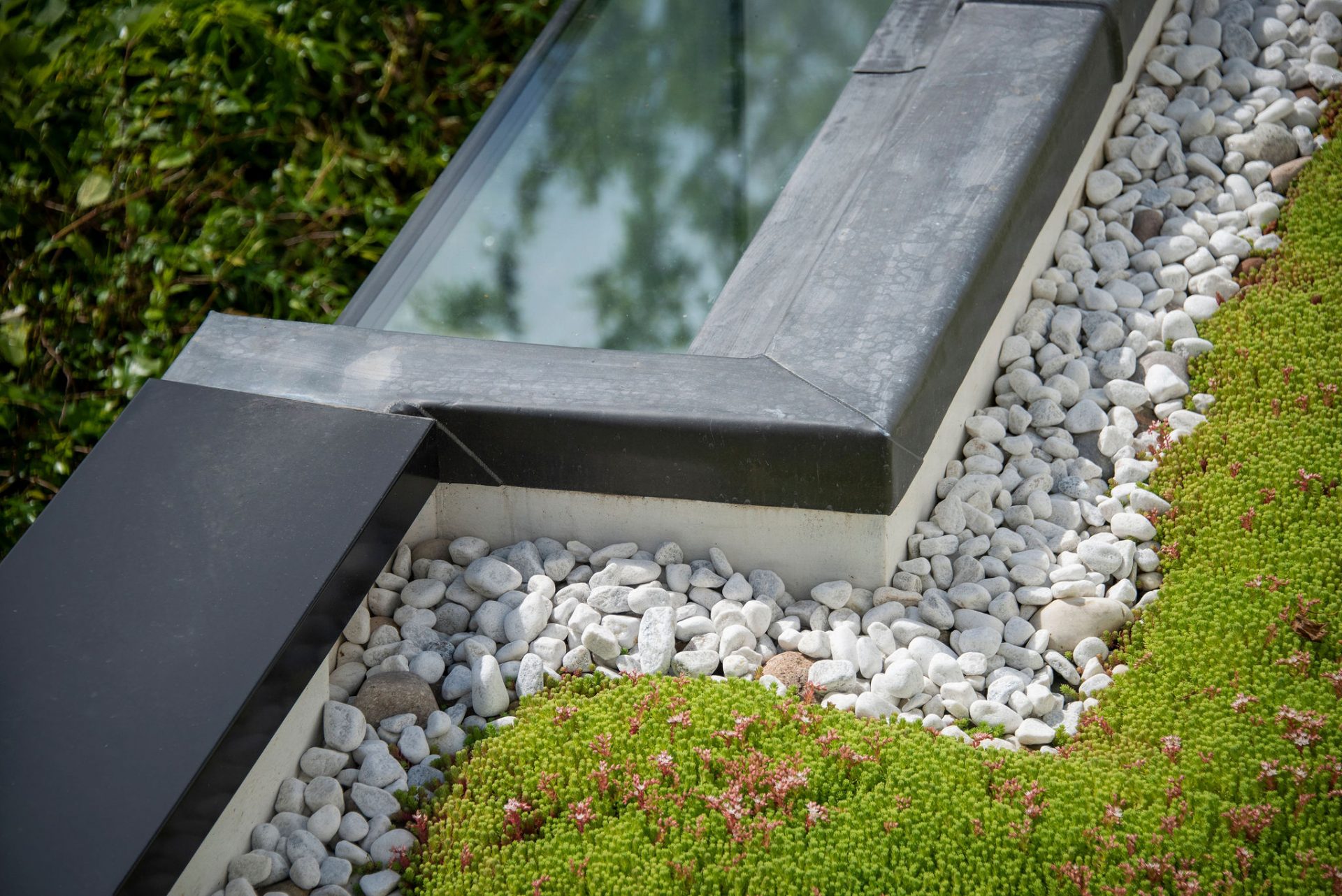 Image showing a Sedum Roof of a Residential Project in Brighton