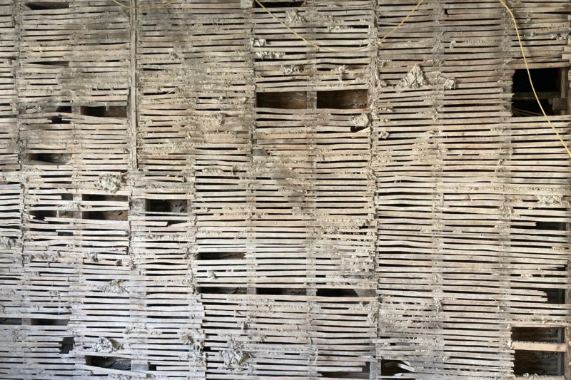 Architects in Westminster